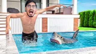 24 Hours in Swimming Pool Challenge   अब 24 घंटे इस पूल से बाहर नहीं आ सकते   Will We Survive