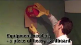 Safe Bat Removal by TheBatDoctor - HD version