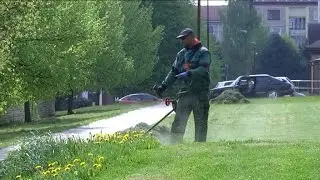 Nekosíte? Riskujete pokutu