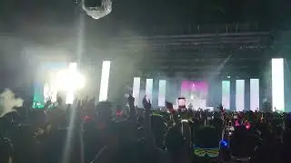 Borneo Live Footage Nicole Chen