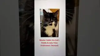 2 Master Gable the Cat's Halloween Jokes =^.,.^= #cat #catlovers #Japan #jokes #riddles #brainteaser