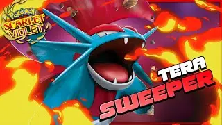 The BEST Tera Types for Moxie Salamence! | Pokemon Scarlet and Violet Wifi Battle