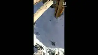 short video at ladhaak 🖤🖤