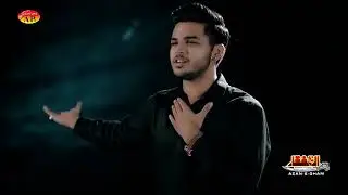 New Noha - ABBAS NAQI 2018 - Naize Pe Chaand Jaisa Ali Akbar - AL ZULFIQAR 2018