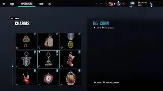 All the charms and skins showcase in R6 Blackice weapon skins