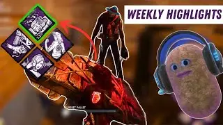 I've started taming killers with this build | Weekly Highlights