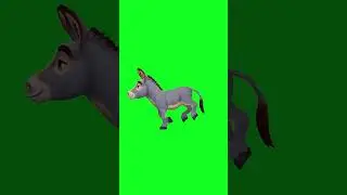 Donkey green screen free #free #shorts #short #effect #donkey #viral #viralvideo #viralshorts #video