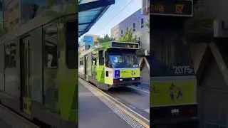 Australia vlog : Most Amazing City of Australia