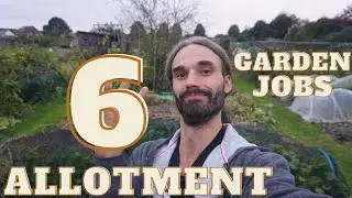 SIX helpful Winter allotment/garden jobs