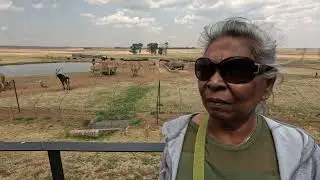 Johannesburg to Balule Nature Reserve by road