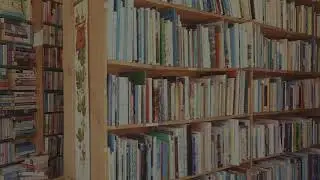 Free 4K Royalty-Free Stock Video: Old shelves of book in book store