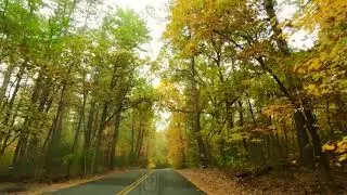 The Best Time to Drive in Fall in New England #fall #autumncolors #leaves #outono2022 #autumnleaves