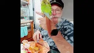 KFC против Hungry Jack&rsquo;s 🍔 Холодный против горячего ананаса изменили всё 🇦🇺