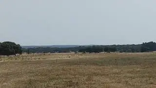 LS-1 Glider landing