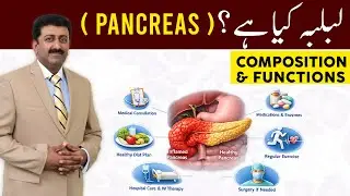 lablaba kya hai - Composition & Function in Urdu / Hindi | Naich Gi Liver Clinic