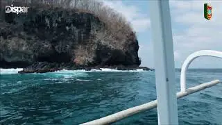 GILI TEPEKONG