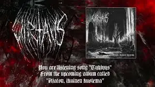 Virtaus - Tyhjyys, Song premiere 2025