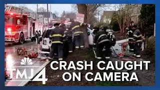 Car vs tree: Shocking crash leaves neighbors startled