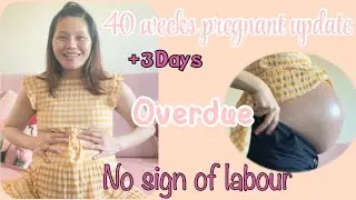 40 WEEKS PREGNANT UPDATES NO SIGN OF LABOUR | OVERDUE | BARE BELLY | PREGNANCY