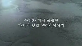 새만금의 마지막 갯벌 [수라], 그 아름다움에 매혹된 사람들의 7년간의 여정