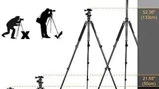DSLR Tripod, Review Lightweight and Compact Aluminum Camera  (TM2324 Black