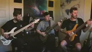 Forsythia - In Transition Playthrough (Feat Robby Baca of The Contortionist)