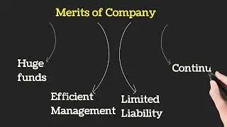 Meaning of a Company | Features of a Company | Forms of Business Organisation | Business Studies