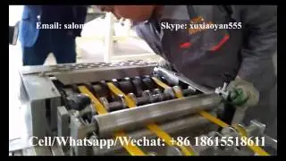 Jinan DG Machinery Corn cone bugle pellet chips making machine production plant