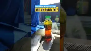 😲😱😱😱😱 #viralvideo #shorts #satisfyingvideo #ytshorts