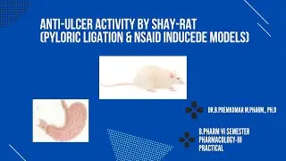 Study of anti-ulcer activity by pylorus ligated (SHAY) rat model and NSAID induced ulcer model
