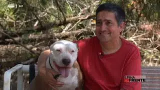 Nós os Animais - Resgate de animais