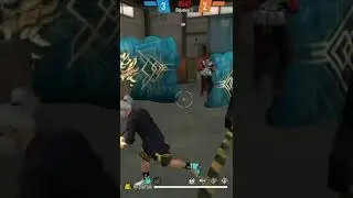 vinixyt  normal con puros amarillos