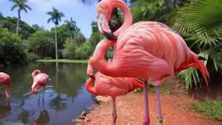 Florida Rental By Owners - Book Florida Vacation Rentals for Less