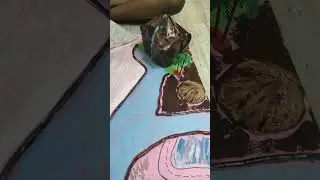 2nd Class Environmental Science Project