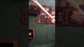LEU    TAROT    💫FEBRUARIE 2026 --- 💥🗨CINEVA TE SPIONEAZĂ, IA  DECIZII ÎNȚELEPTE !!!🥰