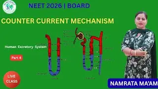 Excretory System Part 4 | Counter Current Mechanism & Kidney Regulation by Namrata maam #nsbioworld