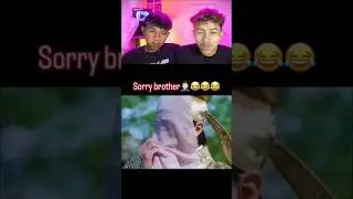 TNTL 🤣 | Часть 518 #попробуйнезасмеяться #смешныевидео #короткометражки