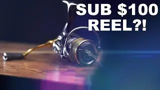 BEST Spinning Reel UNDER $100 (2019)
