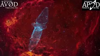 Ou4: A Giant Squid in a Flying Bat