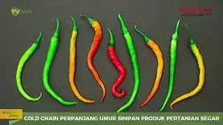 Cold Chain - Cooling Technology to Maintain the Freshness of Agricultural Commodities
