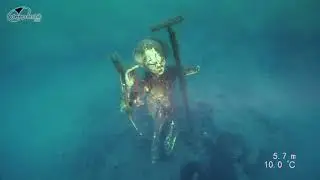 Best of Freshwater Diving 2020