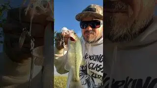 Logan Martin Cherry 🍒 Popper‼️ #shorts #bassfishing #largemouthbass