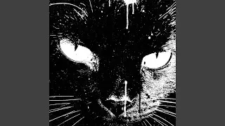 Miau Funk (Montagem Phonk)
