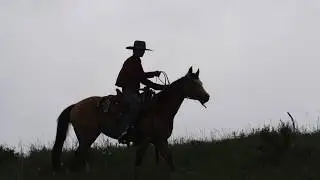 Buck Brannaman's 2018 Colt Starting Clinic