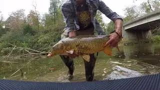 ALL FISH OVER 10 POUNDS+! Sight Fishing for GIANT Carp- 4K