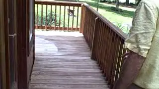 What to Expect from Weathering of a Ready Deck