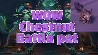WOW Chestnut Battle pet location