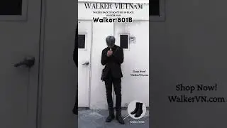 WALKER 801B - WALKER BACK ZIP BOOTS 801 IN BLACK
