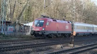 Eisenbahnverkehr in Frankfurt Louisa Mit Br 423 193 446 1116 412 633 1440 401 407 415