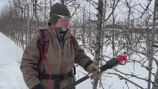 Workers at Indian Ladder Farms keep pruning apple trees in the snow